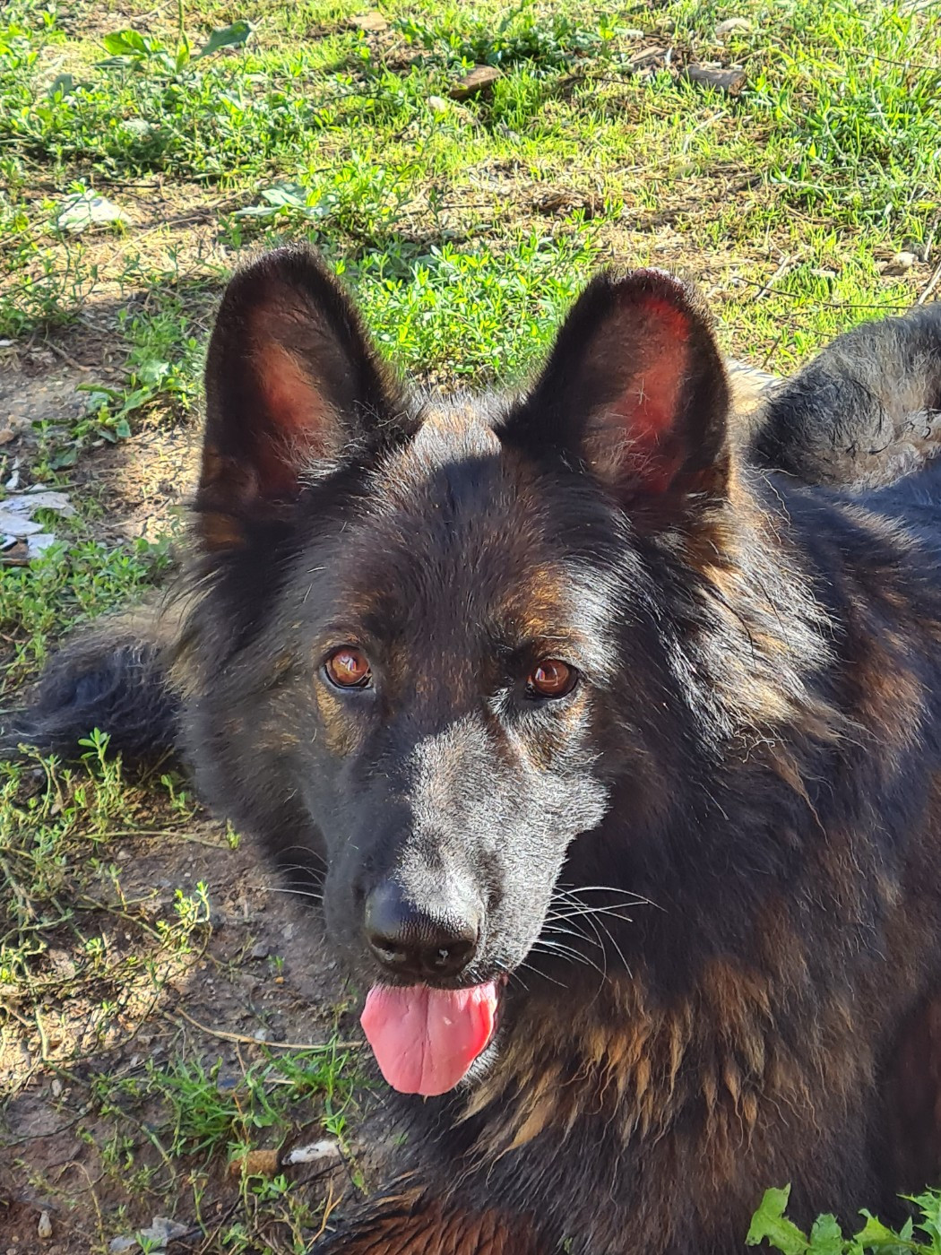 Prajna De L'Ecuyer De La Branle